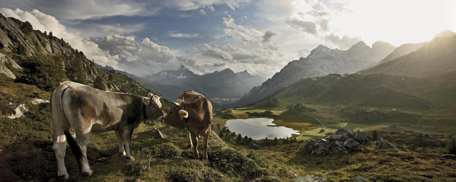Naturpark Beverin - © Switzerland Tourism-BAFU/Marcus Gyger